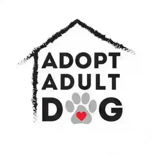 Adopt Adult Dog. Возьми взрослую собаку