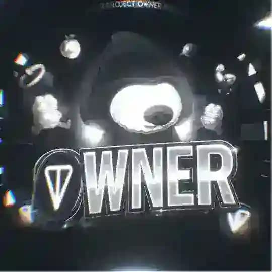 ㅤ PROJECT OWNER