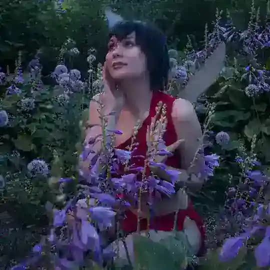 Будни Аликорна|Ailinkori Cosplay
