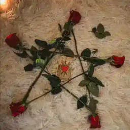 alice love spells Profile