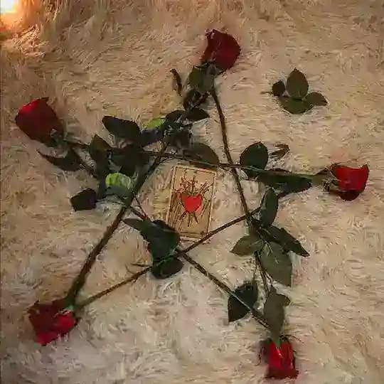 alice love spells