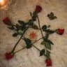 alice love spells