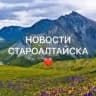 Новости Староалтайска