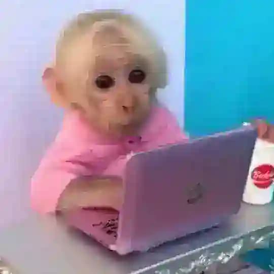 клубничный манке арай🍓🍓🍓🍓