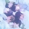 ωe are nct wish 𖥔