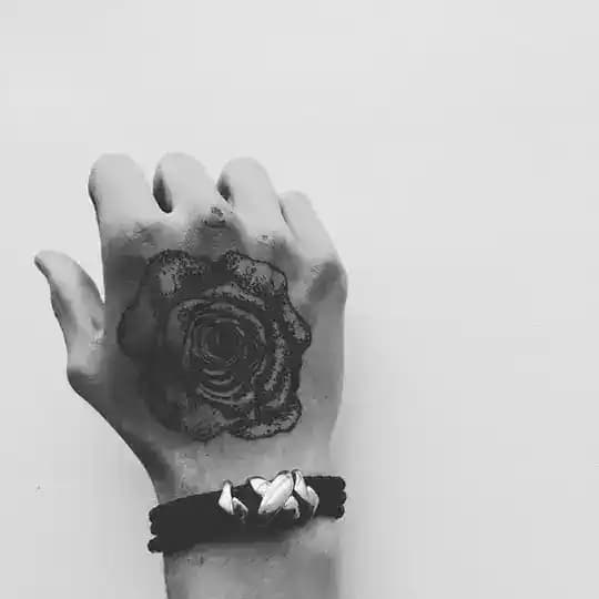 òρφεύς || avitte