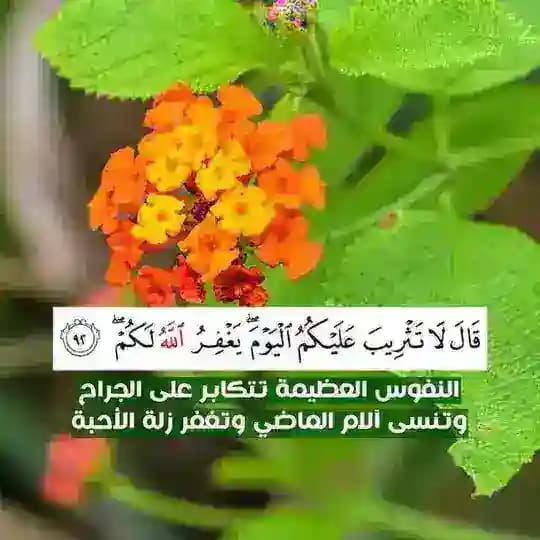 🌸أروع الحالات🌺