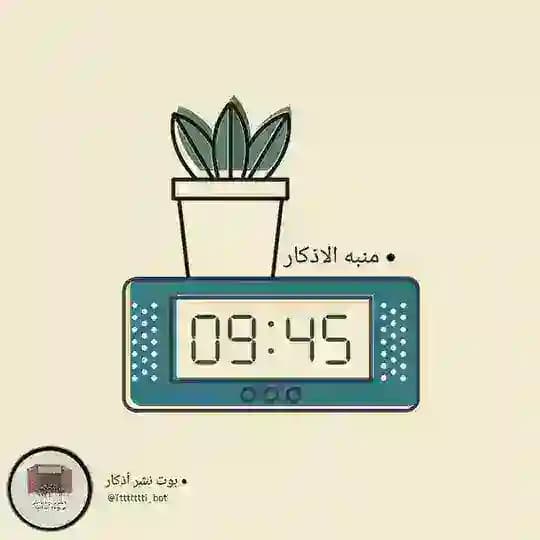 رحلة حفظ القران 🕑