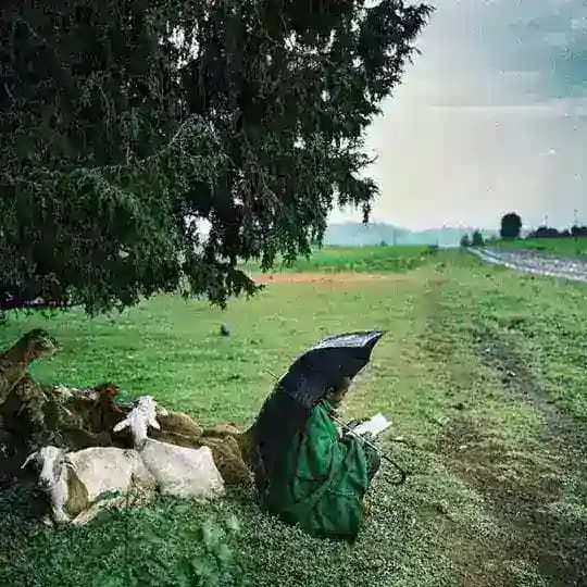 أثـرٌ وبصمةْ ||غزة|| 🍀