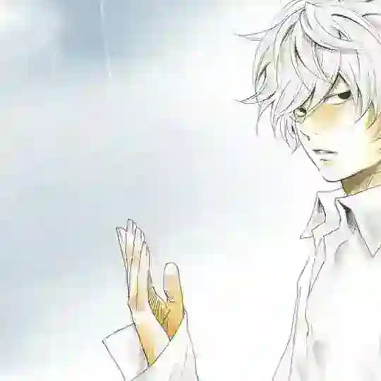 aveii #29