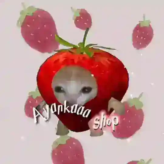 Айянкаа୧ 🍰‧₊