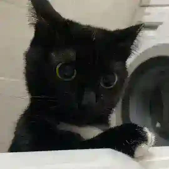 отзывы бабайки