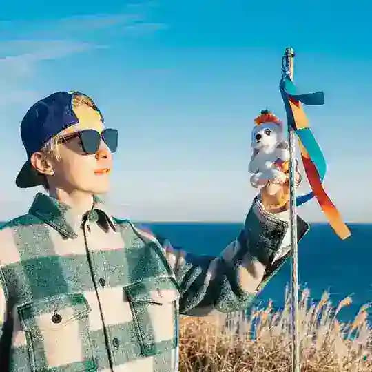 Бджолиний всесвіт 🐝