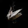 the falcon of light