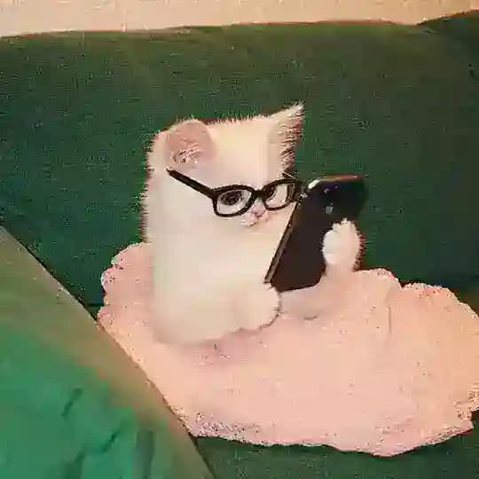 Домик Бернадетт💚