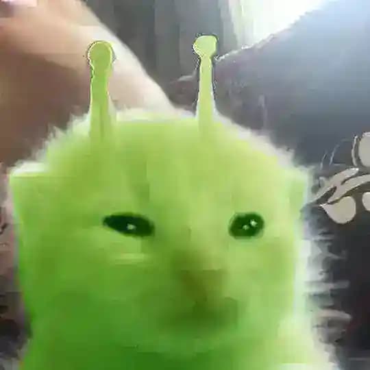 хата берриковского🤫🙀