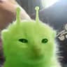 хата берриковского🤫🙀