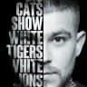 Big Cat Show