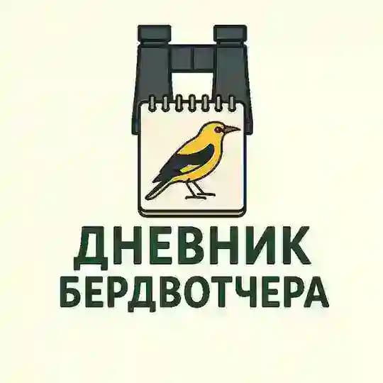 Дневник бердвотчера