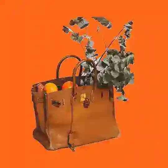 Birkin in wonderland 💭