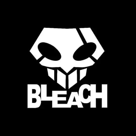 BLEACH ZINE ✂️⛓💥