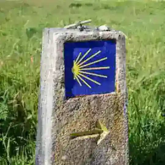 Дороги Пилигримов