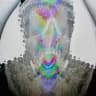 S66