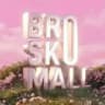 BROSKO.MALL.LIFE