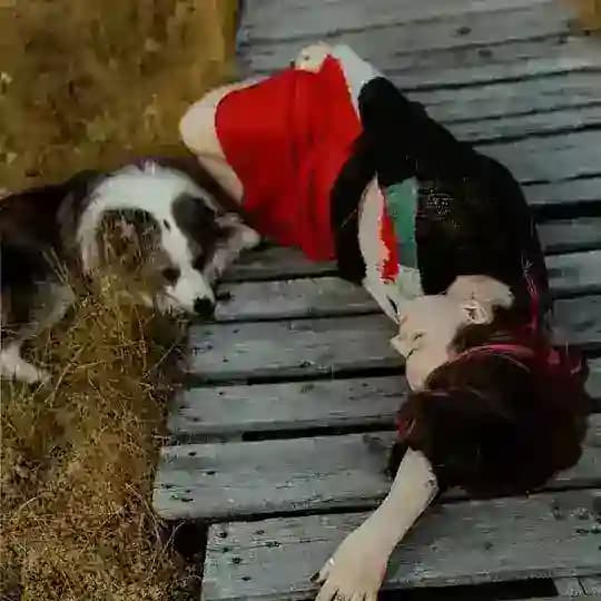 Каждый день гуляем с Бруно