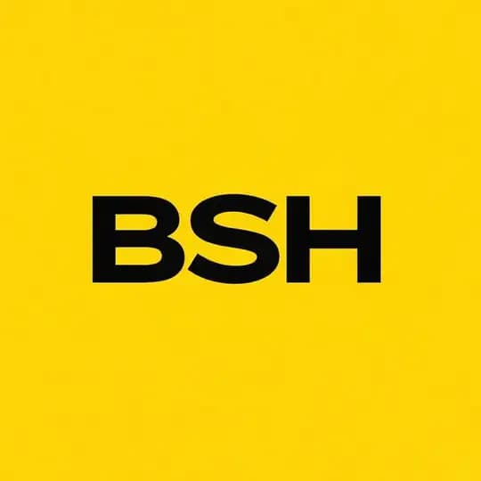 BSH | Бизнес в Китае на практике