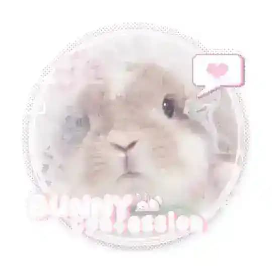 bunnies confession