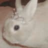 bunny burrow boutique