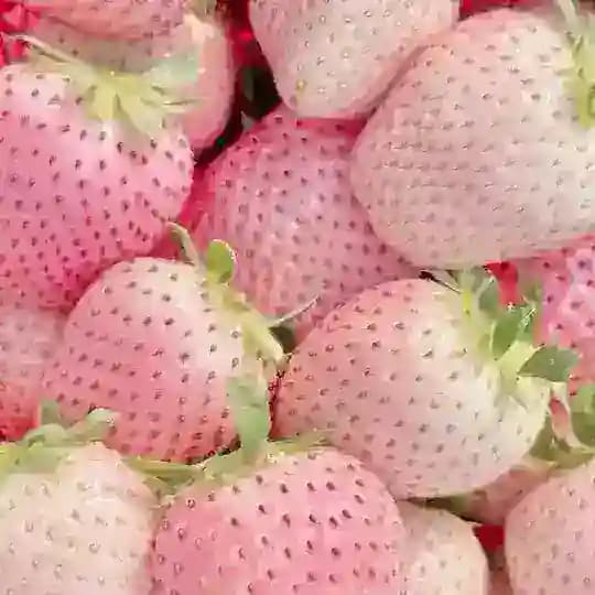 интерактивы ₊˚ෆˎˊ˗