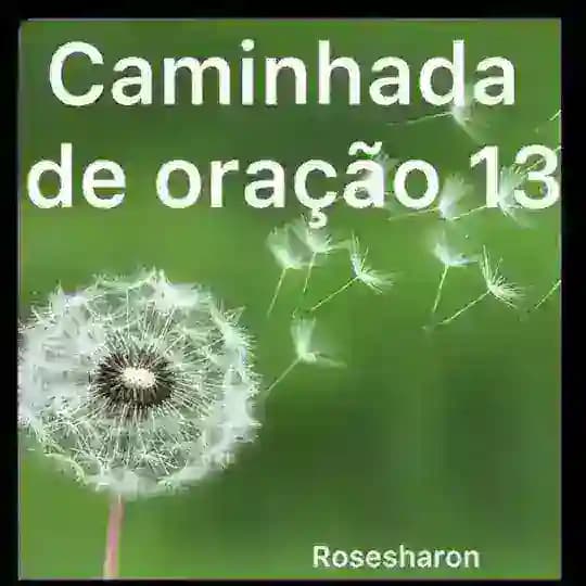 CAMINHADA DE ORAÇÃO 12