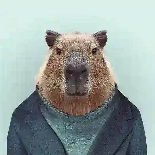 Capibara drop