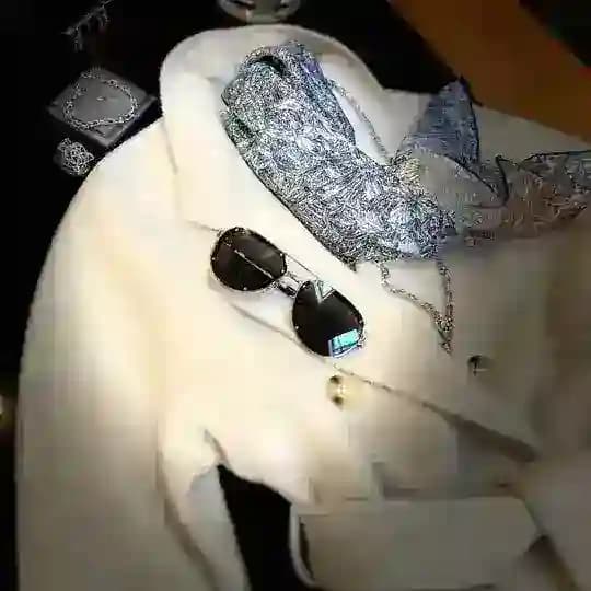Капсула стиля