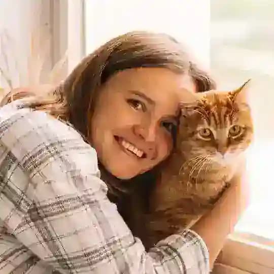 Cats_dzen