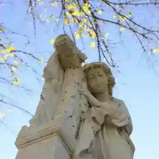 cemetery.su