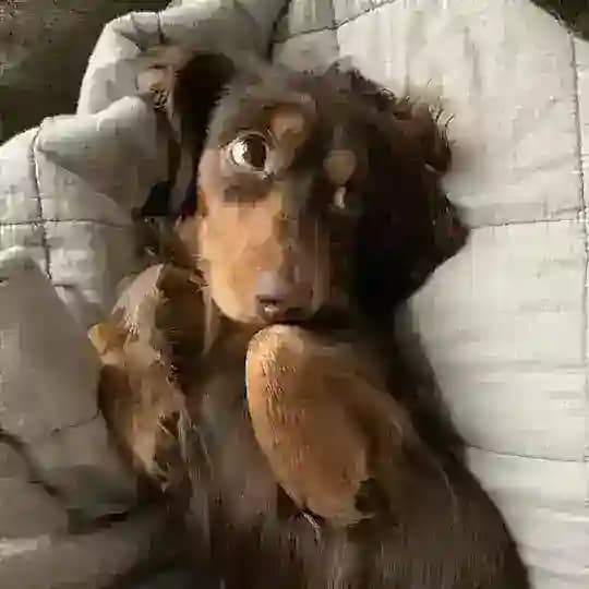 @.𝖼𝗁𝖺𝗉 ¹ к