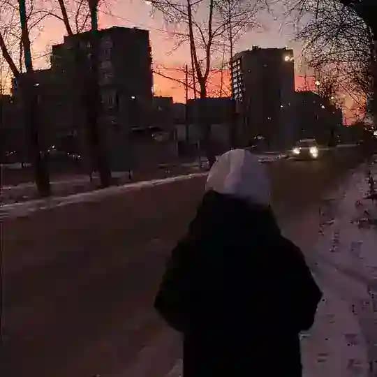 ‎﮼مەستانی🐻🤎.