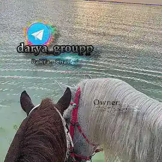 ᗪᗩᖇYᗩ 🌊:)