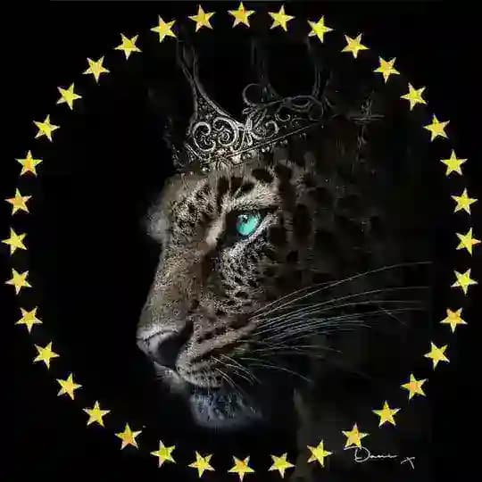 ⚜️Check.Lux⚜️