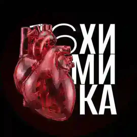 НОЧЬ ХИМИКА