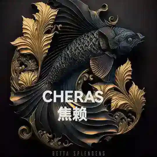 KL 快餐
