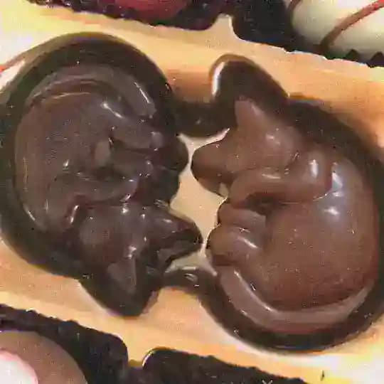 chocolate confession