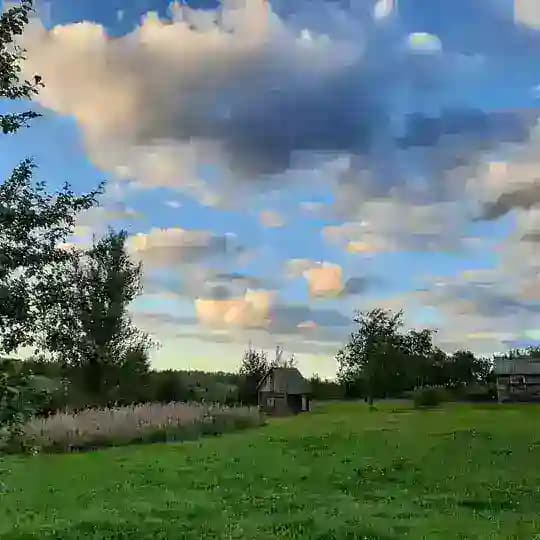 Циркулярка