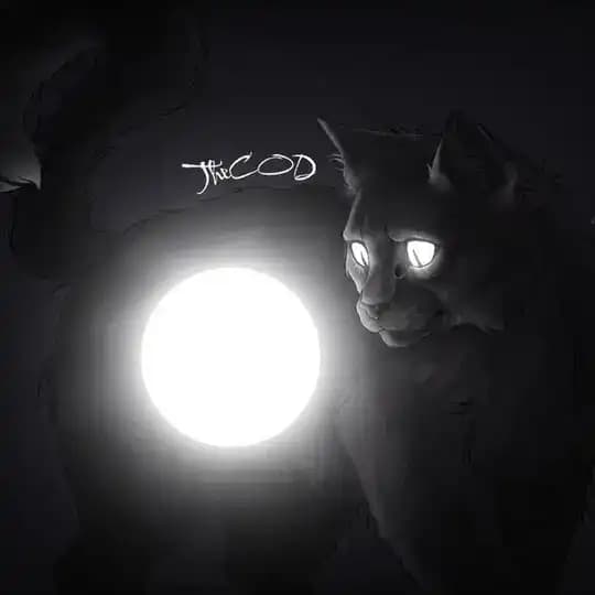 šš©š¦ššš || šš š¤šš¢šÆ