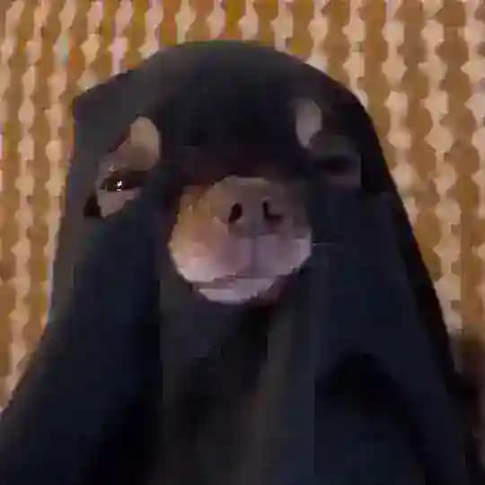 Клетка дверной ручки🤛