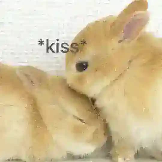 ˏ крим ( !! )