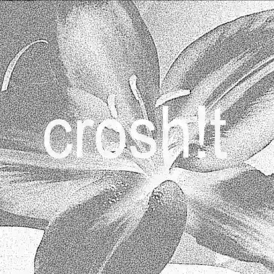 crosh!t